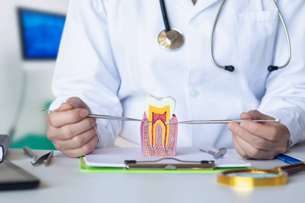 Best Pediatric Emergency Dentist in Burlingame, CA
